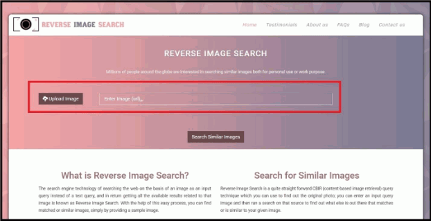 reverse image search website
